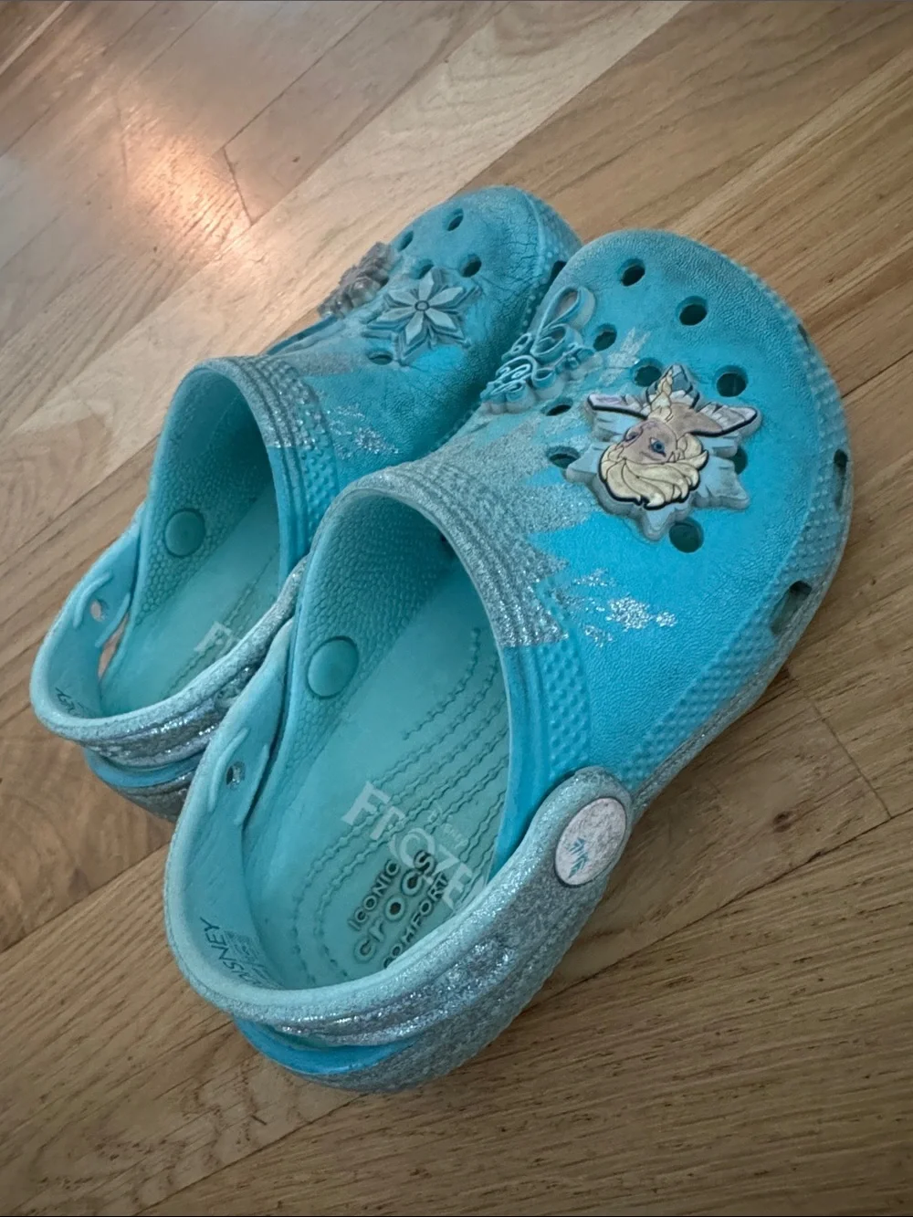 Disney Elsa Turquoise Glitter Kids Clogs